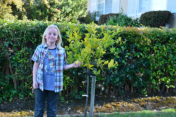 2019-05-07 Cohen's 9th Birthday 065