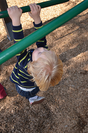 2013-01-20 San Mateo  Central Park 368
