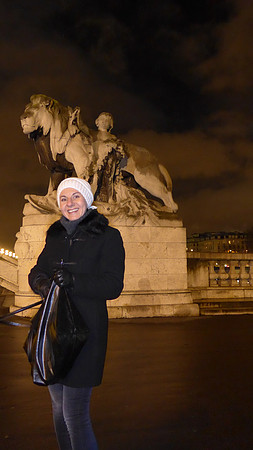 2015-01-31 Paris 345