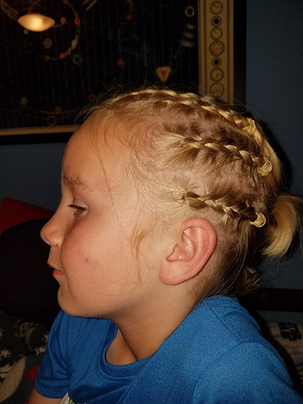 2018-06-02 Braids 03