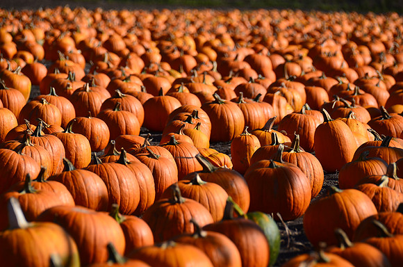 2019-10-08 09-58-22 039