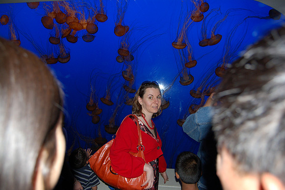 2008-05-26 Monterey Bay 210