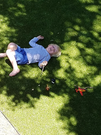 2016-06-18 Backyard 011