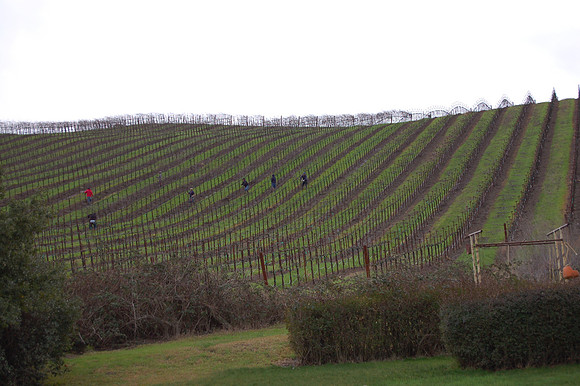 2008-02-02 Six Years 060