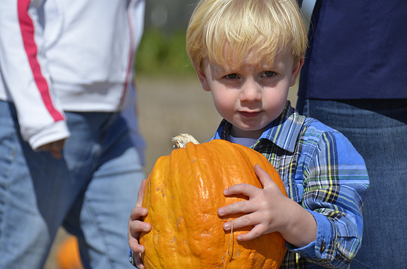 2013-10-12 Pumpkin Patch 188
