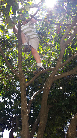 2014-06-28 Miles' Birthday Party 13