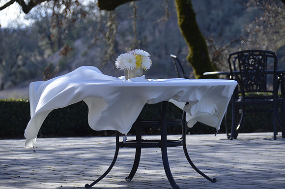 2014-02-02 Healdsburg, CA 197