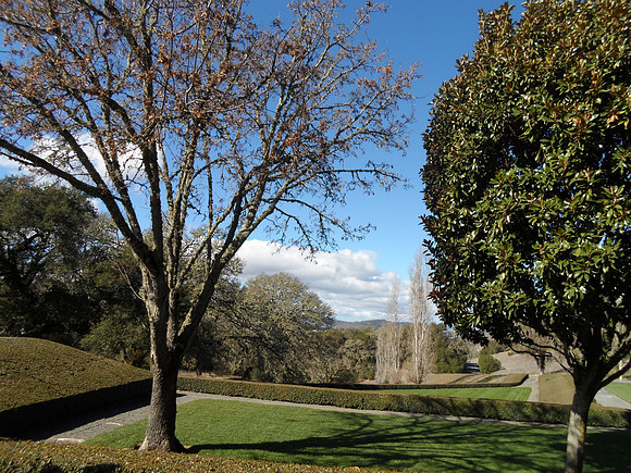 2014-02-02 Healdsburg, CA 106