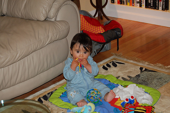 2008-06-01 Dinner Party 20